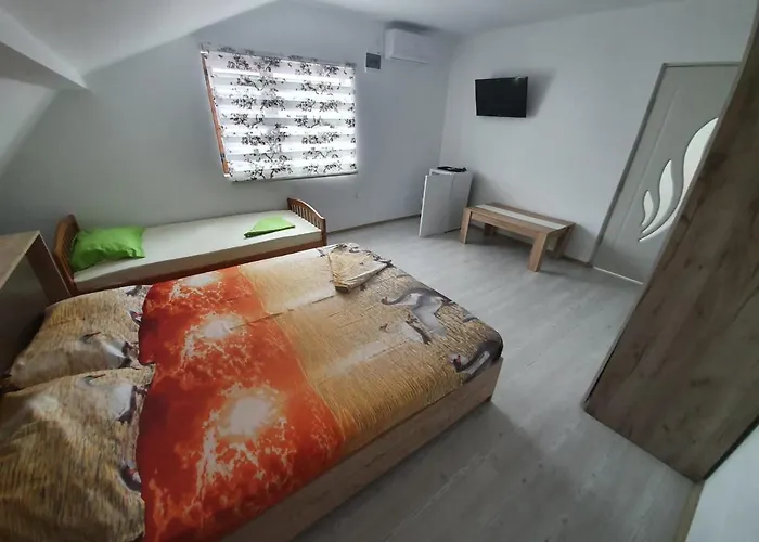 Maison d'hôtes Dan Costinesti