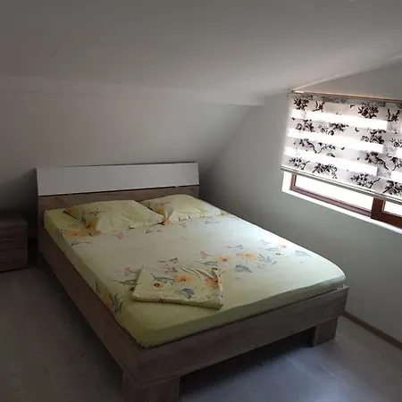 Dan Guest house