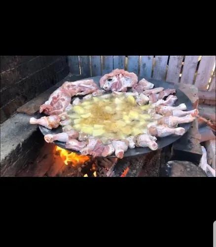 Pensiune Dan Costineşti